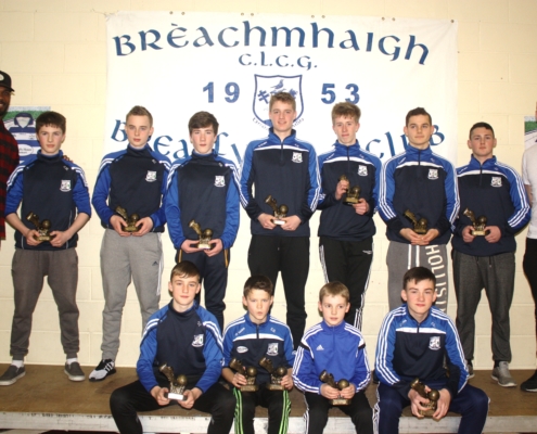 breaffy gaa award winners